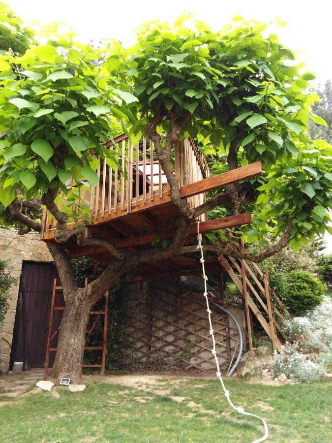 Six Steps From The Forest Zigos  Экстерьер фото