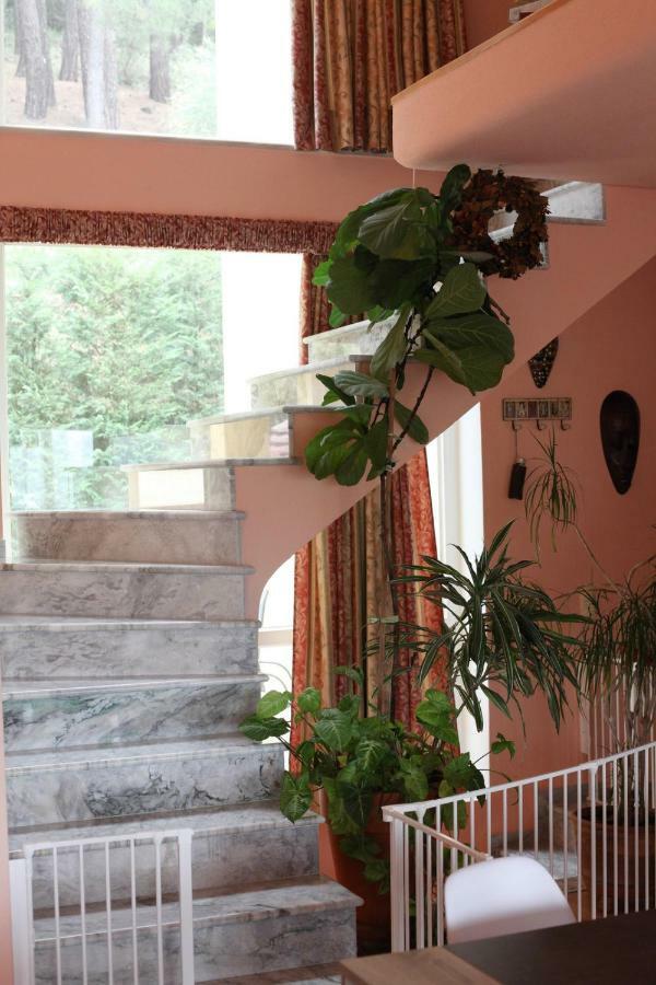 Six Steps From The Forest Zigos  Экстерьер фото